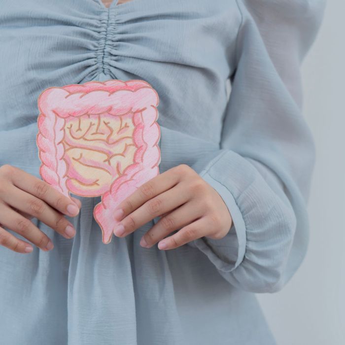 estrogeni_intestino_microbioma_intestinale